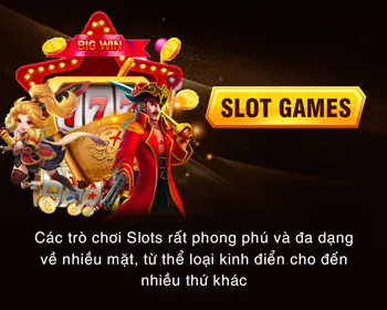 Chương trình VIP và Loyalty BD88